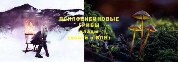 гашик Алексеевка