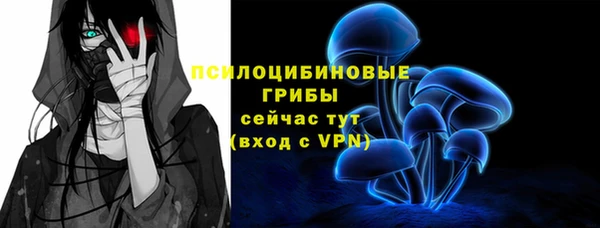 гашик Алексеевка