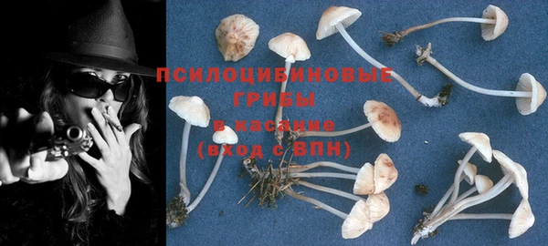 гашик Алексеевка