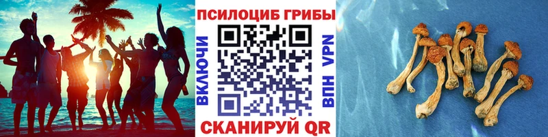 darknet состав  гидра рабочий сайт  Спасск-Рязанский  купить наркотики сайты  Галлюциногенные грибы мухоморы 